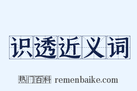 识透近义词是什么意思的图片